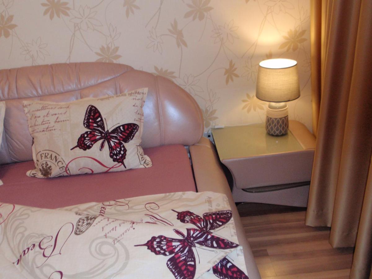 Central Cietokšņa Street Apartment Daugavpils Buitenkant foto