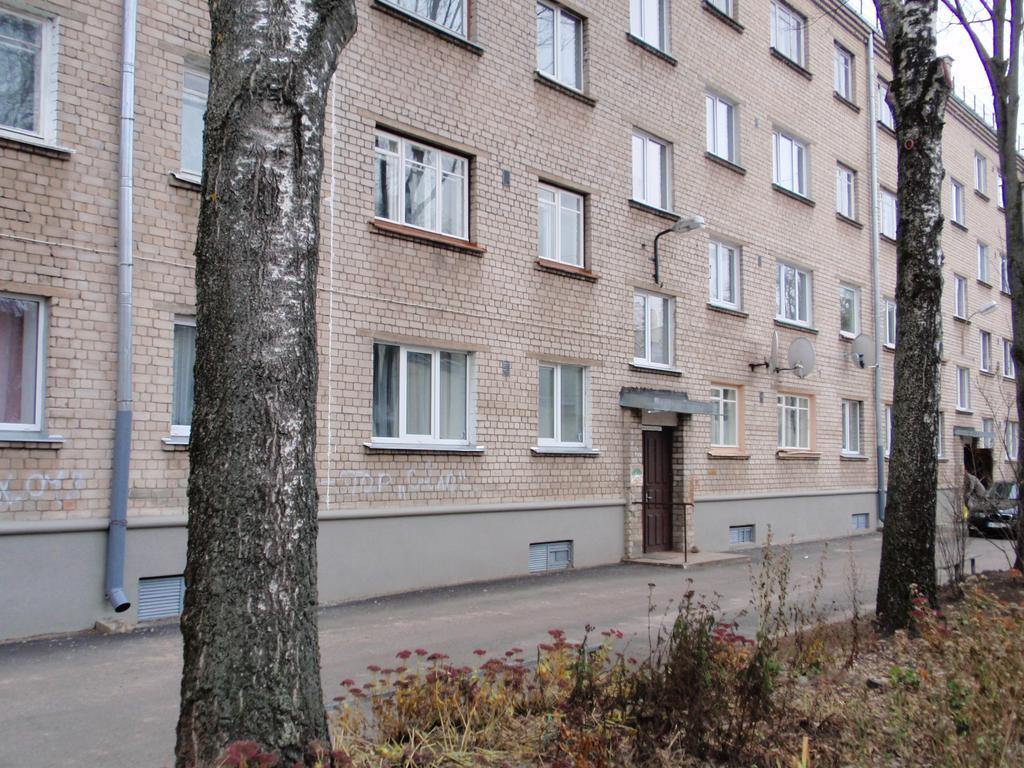 Central Cietokšņa Street Apartment Daugavpils Buitenkant foto